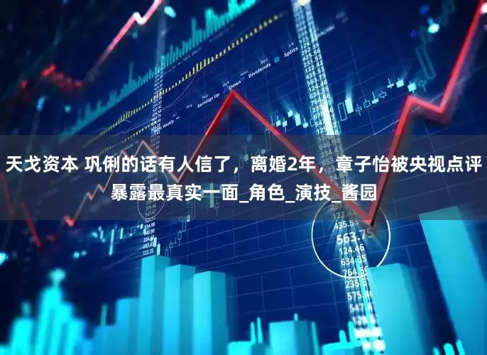 天戈资本 巩俐的话有人信了，离婚2年，章子怡被央视点评暴露最真实一面_角色_演技_酱园