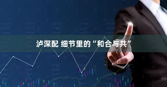 泸深配 细节里的“和合与共”